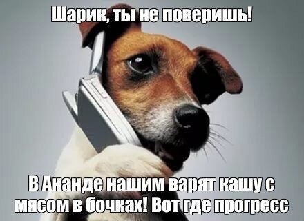 Друзья, привет! Новости приюта.
🍗 Про еду. 
Сегодня ровно неделя, как мы перешли на каши с мясом! Заглядывая в бочки, где варится еда, глаз радуется, как же все аппетитно и вкусно выглядит.