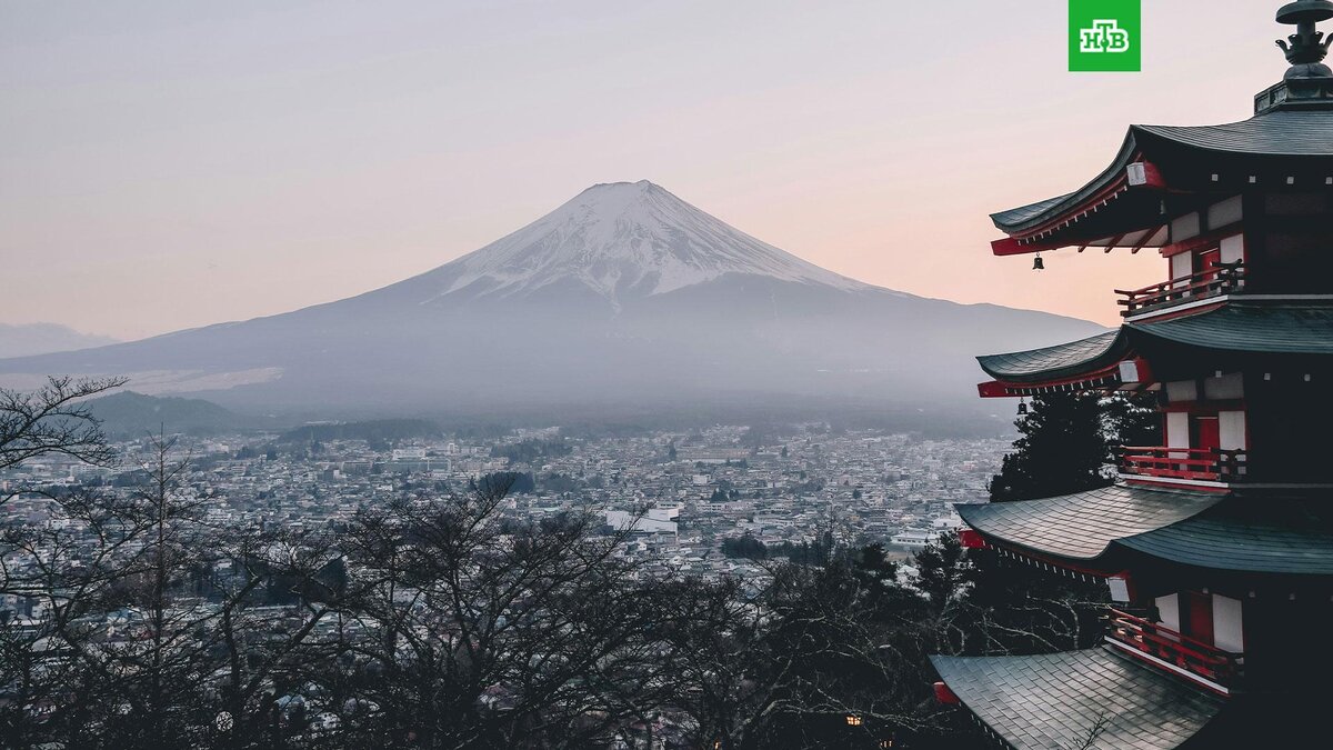    Фото: Manuel Cosentino / unsplash.com
