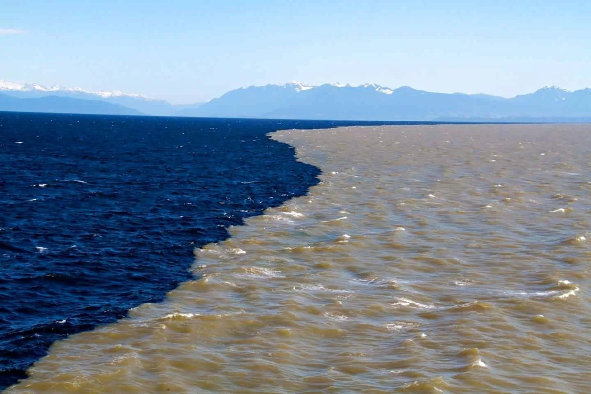 В сетях появилось множество видео, на которых видна четкая граница в месте слияния двух океанов Тихого и Атлантического. Пользователи задались вопросом, а смешиваются ли их воды.