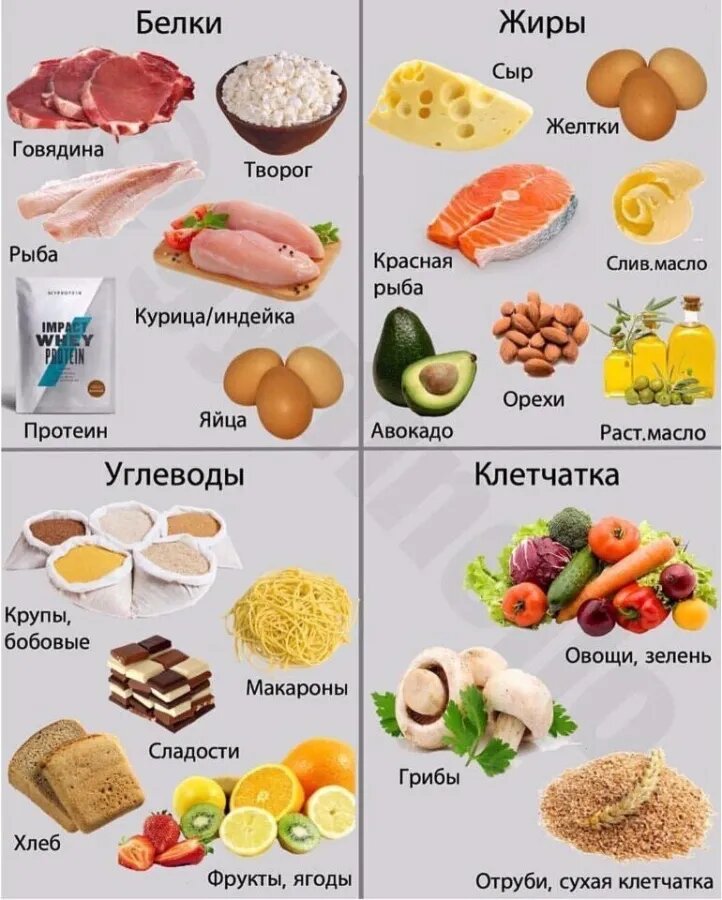 Белки, жиры, углеводы и клетчатка.