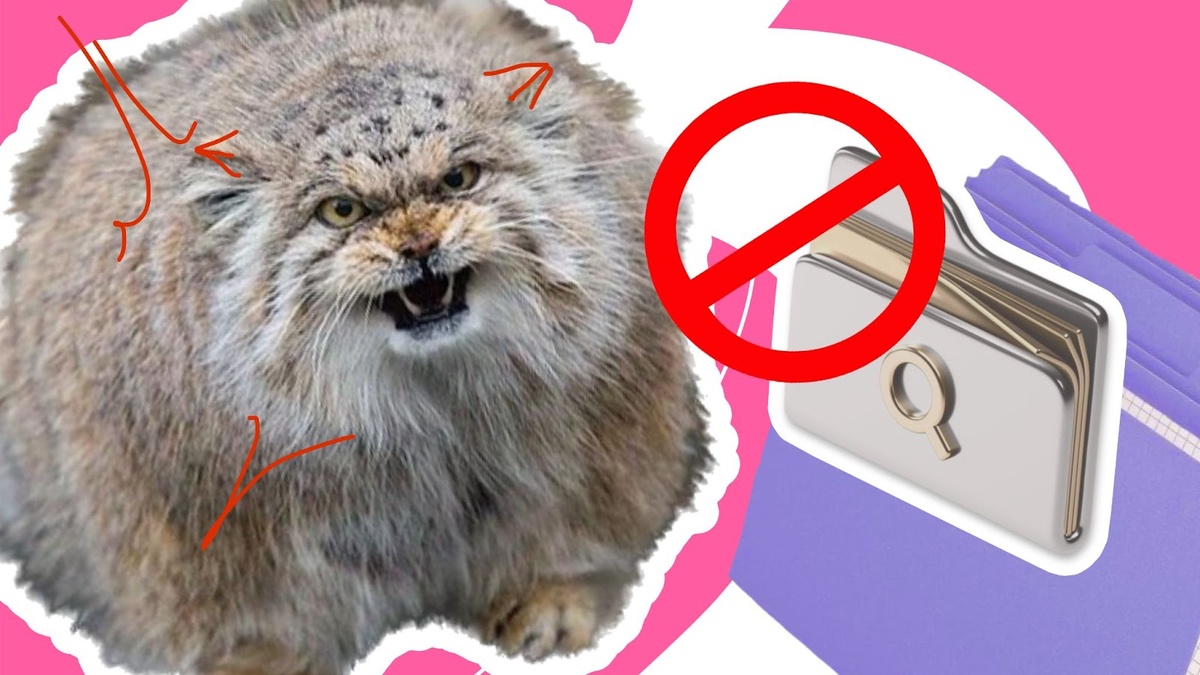 HR вы или же кадровик, — скорее всего, спустя годы работы вы задаётесь логичными вопросами. Фразы «Ну как так можно?» и «Да когда ж это кончится?», пожалуй, звучат в вашем кабинете довольно часто.