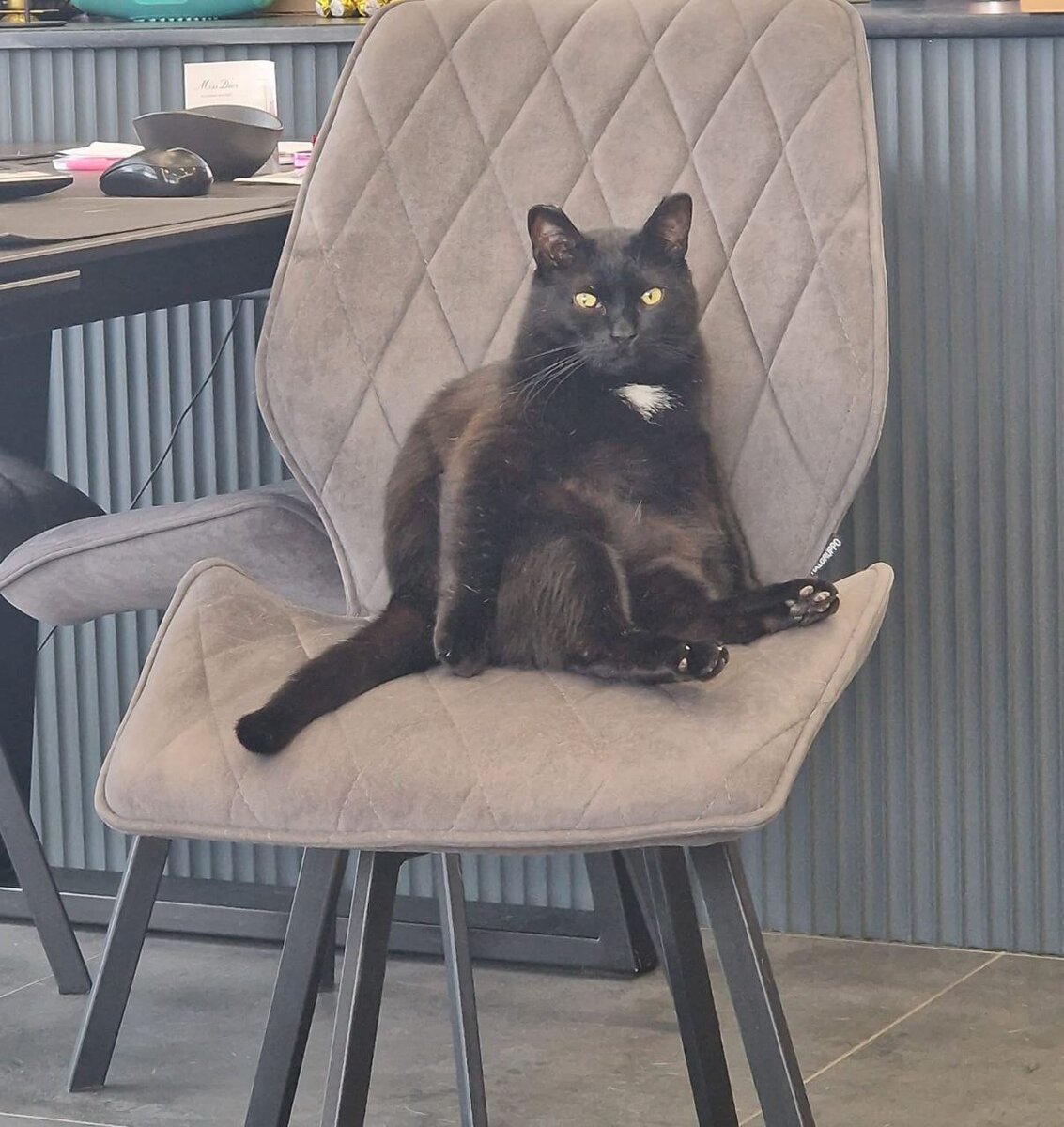 Таунхаус. Проекты таунхаусов. Таунхаусы современные. Дом пять собственников. Много домов.