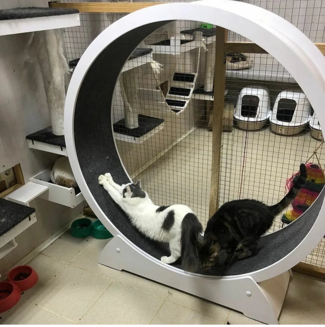 Фото из свободного доступа в интернете