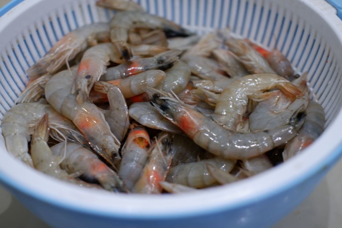 Фото: Е. Зимней 