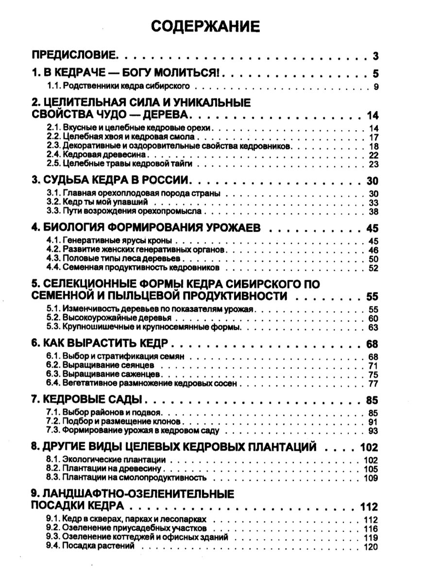 Кедр царь сибирской тайги. Титов Евгений Васильевич. (2007) | Канал Сергей  Юрьевич | Дзен