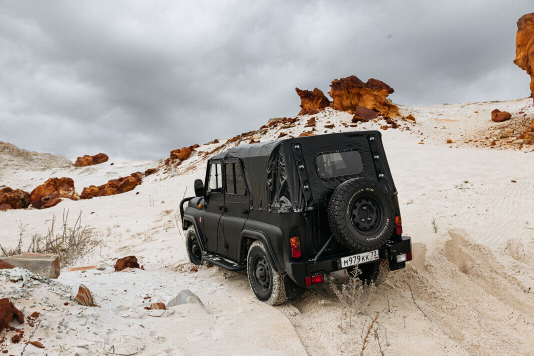 тайпан маккоя змея. тайпан новый год 2024. яйца тайпана маккоя. тайпан новый год 2024. тайпан, morozka.