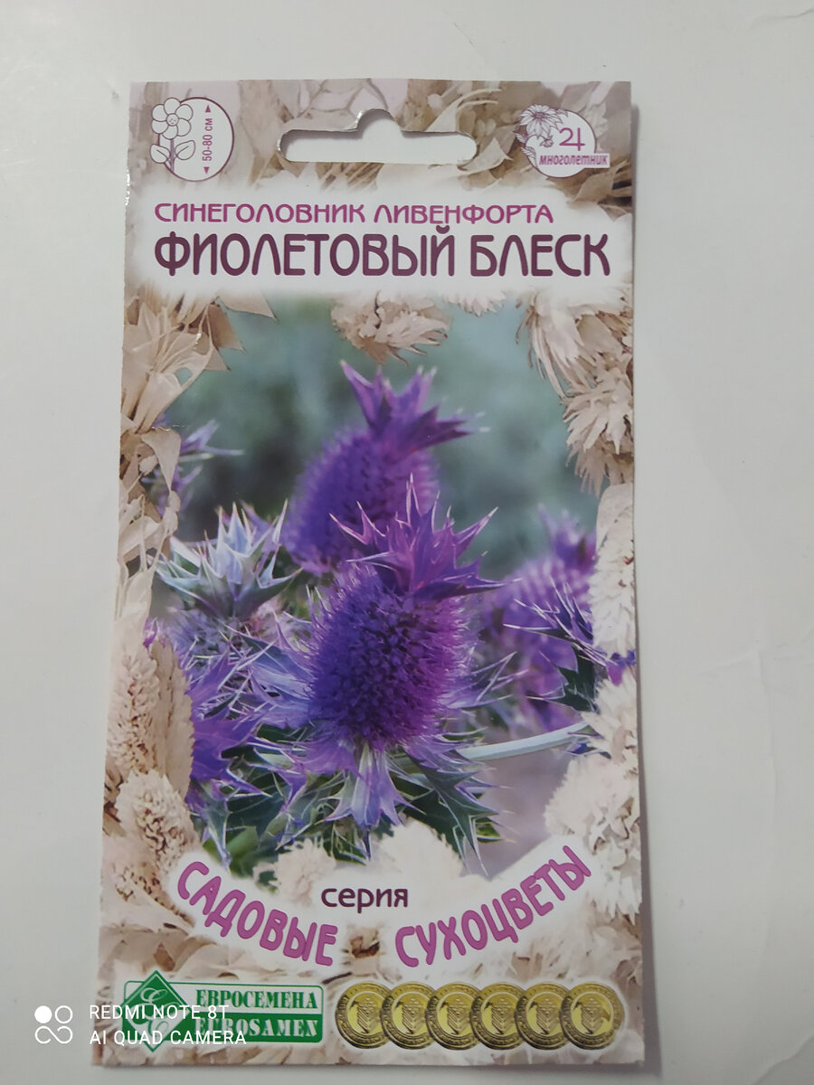 Синеголовник полевой семена