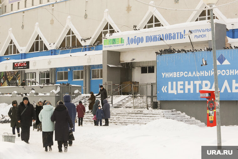 на рынке корову старик продавал стих. как старик на рынке корову продавал. корову продашь стих. на рынке корову старик продавал картинки. стих на рынке корову старик.