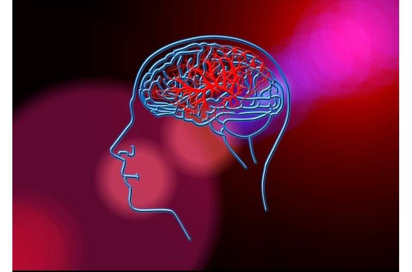 Кредит: Pixabay/CC0 Public Domain