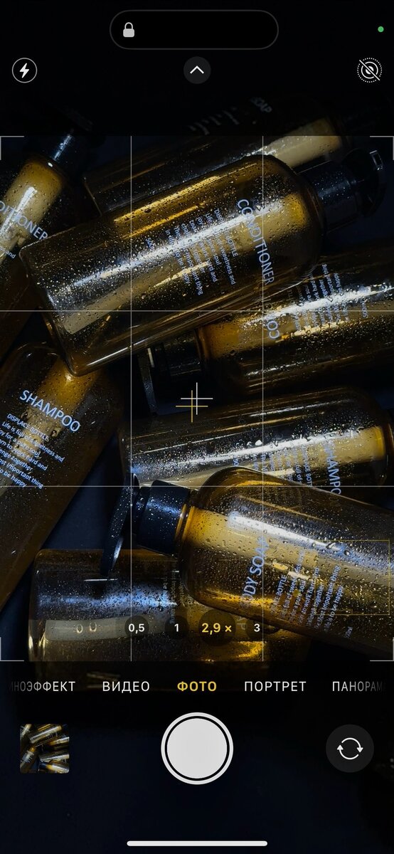 WB арт: 189623020