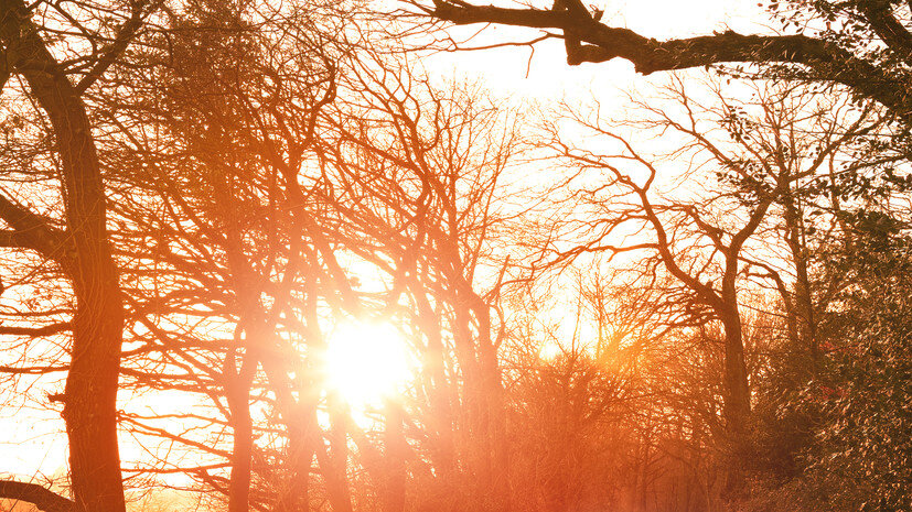   Gettyimages.ru Eivaisla