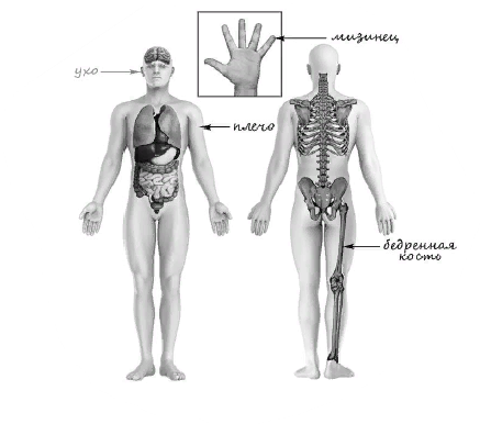 Впр 4 класс окружающий мир 2022 с ответами. Ответы на впр окружающий мир 2 часть 4 класс. Впр по окружающему миру 4 класс. Впр по окружающему миру за 4 класс. Впр 4 класс окружающий мир 2021 волкова.