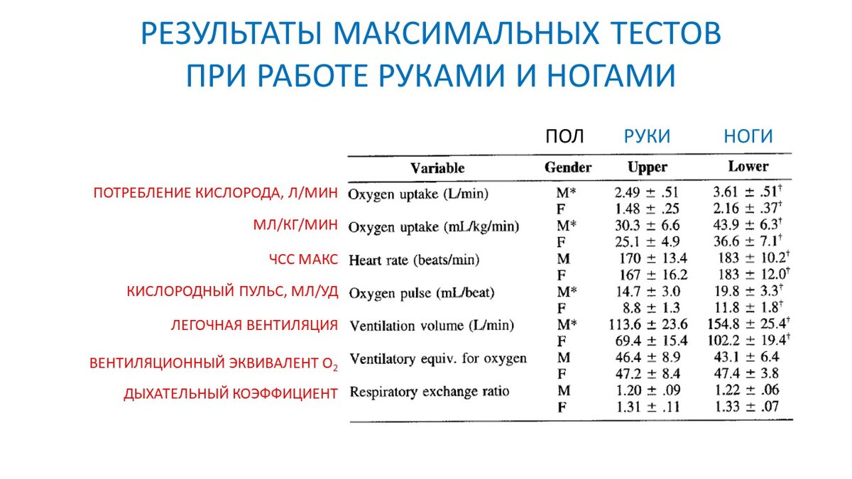 Ударный объем сердца и кислородный пульс при работе руками и ногами |  Василий Волков | Дзен