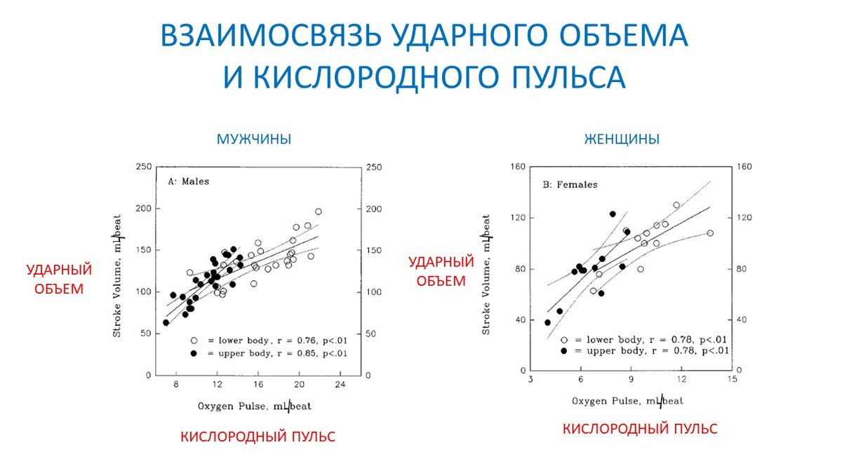 Ударный объем сердца и кислородный пульс при работе руками и ногами |  Василий Волков | Дзен