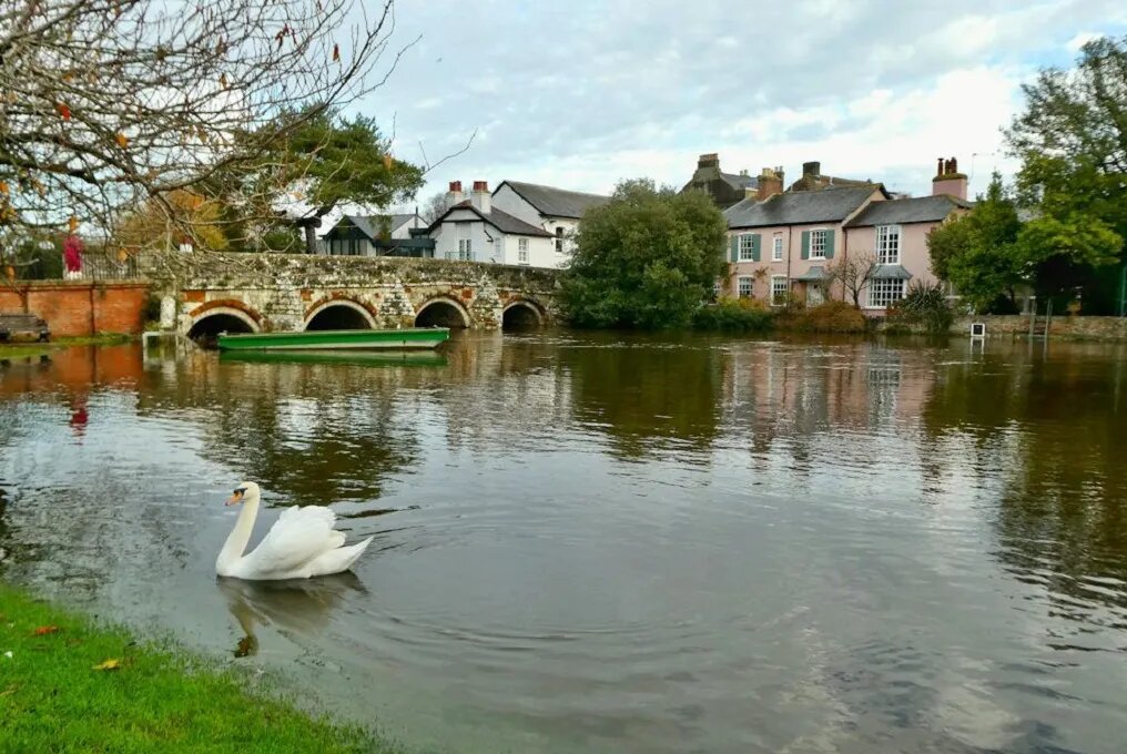 Фото: unsplash.com