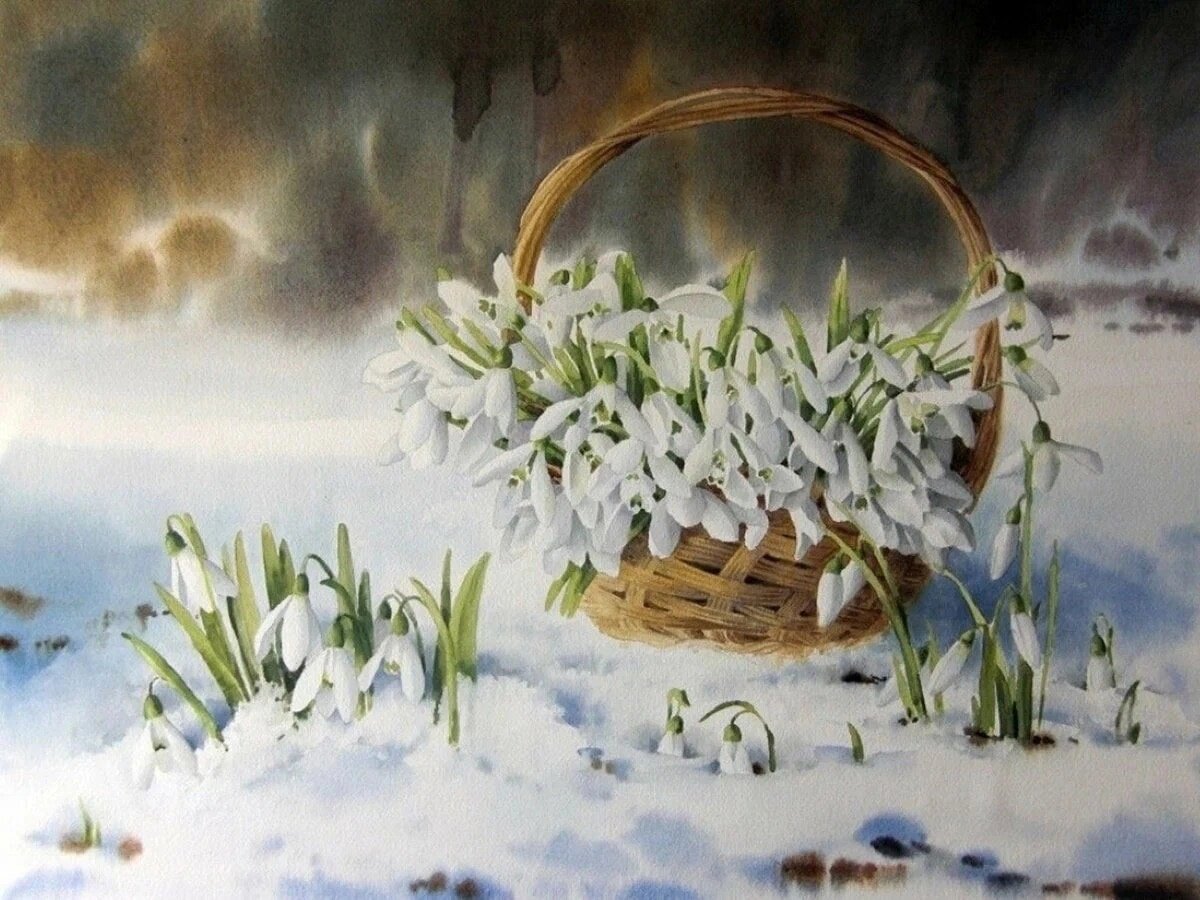тает снег цветы. ранняя весна. тает снег цветы. первоцветы крокусы. первоцветы (подснежники, крокусы, гиацинты).