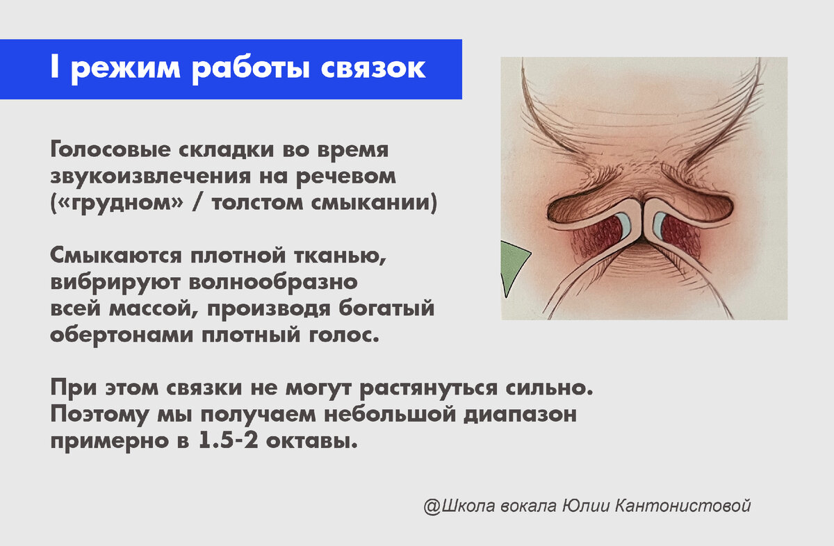 Речевой / грудной голос @школа вокала Юлии Кантонистовой