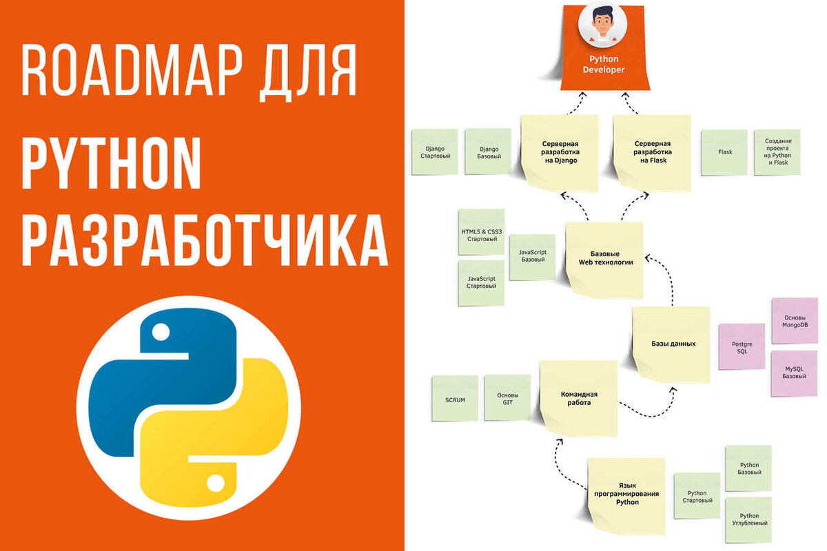 Дорожная карта Python: как изучать Python в 2024 году (Часть 1) | About  life and other | Дзен