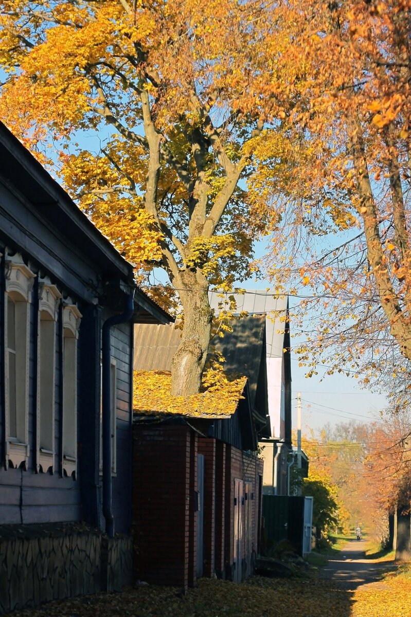 Фото взято из интернета