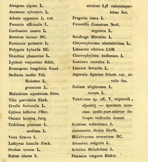 Список видов растений из сочинения Г. Е. Щуровского
