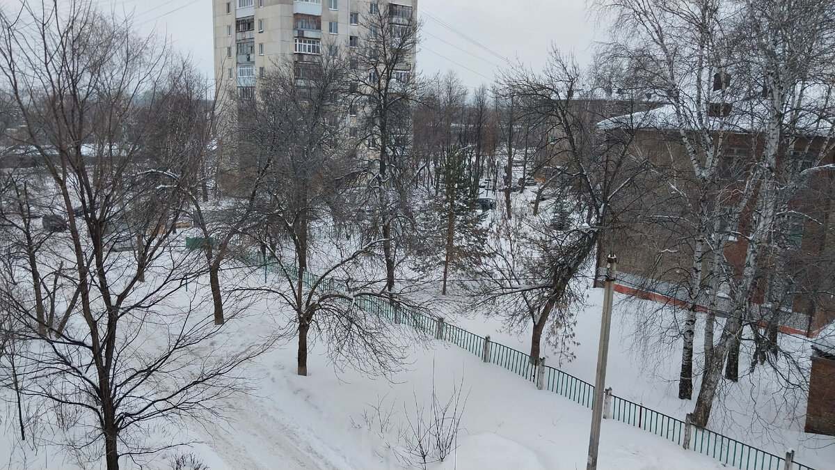 Фото автора.