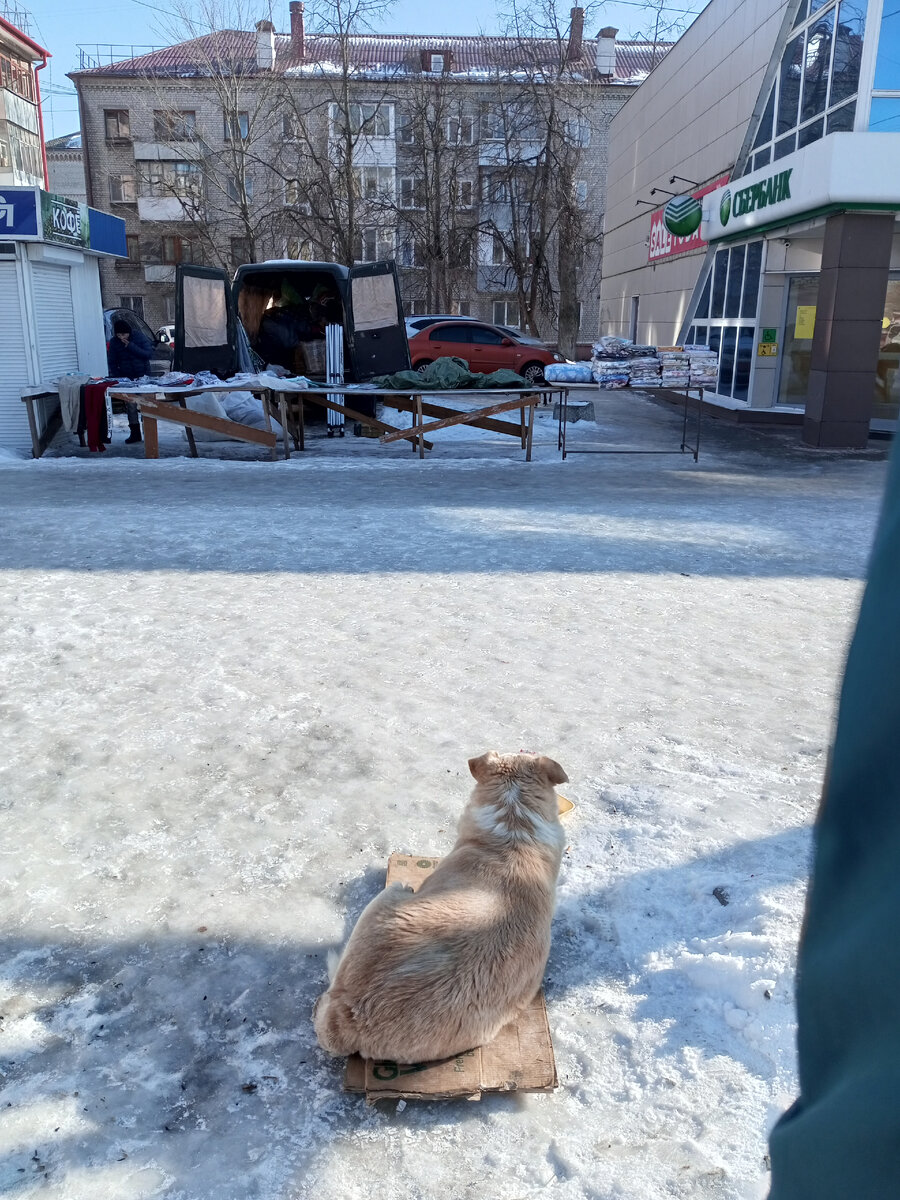 Сегодняшнее