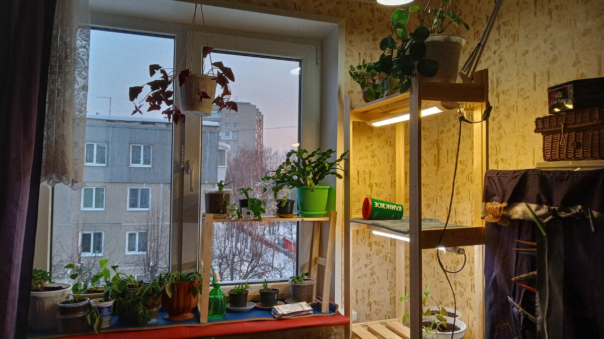 Two-page essay. Человек пишет. Рука пишет. Write для детей. To write в временах.