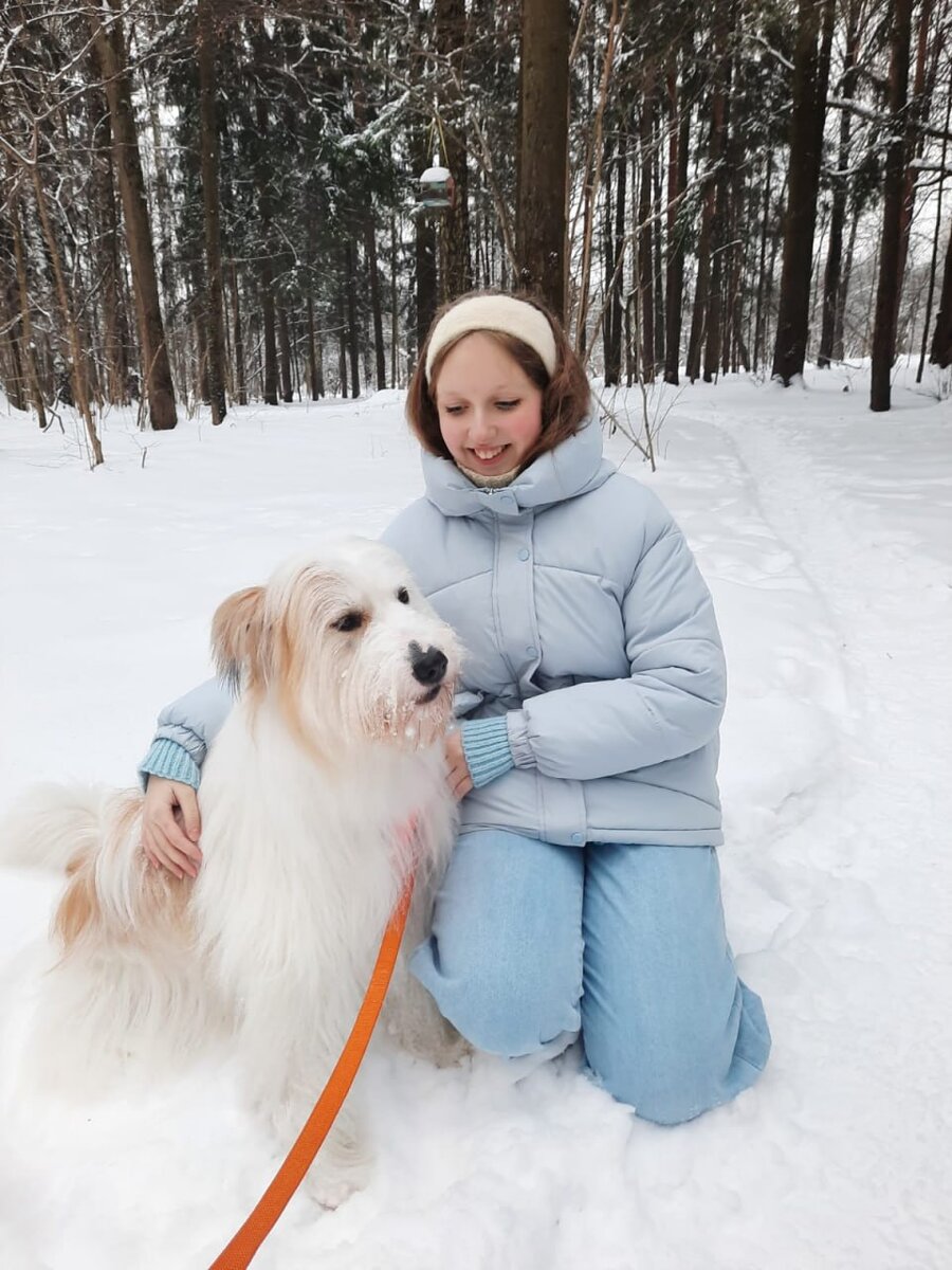 Шлёт привет из дома пушистик Норрис! ❤️ | «Собаки, которые любят» Фонд  помощи бездомным животным | Дзен