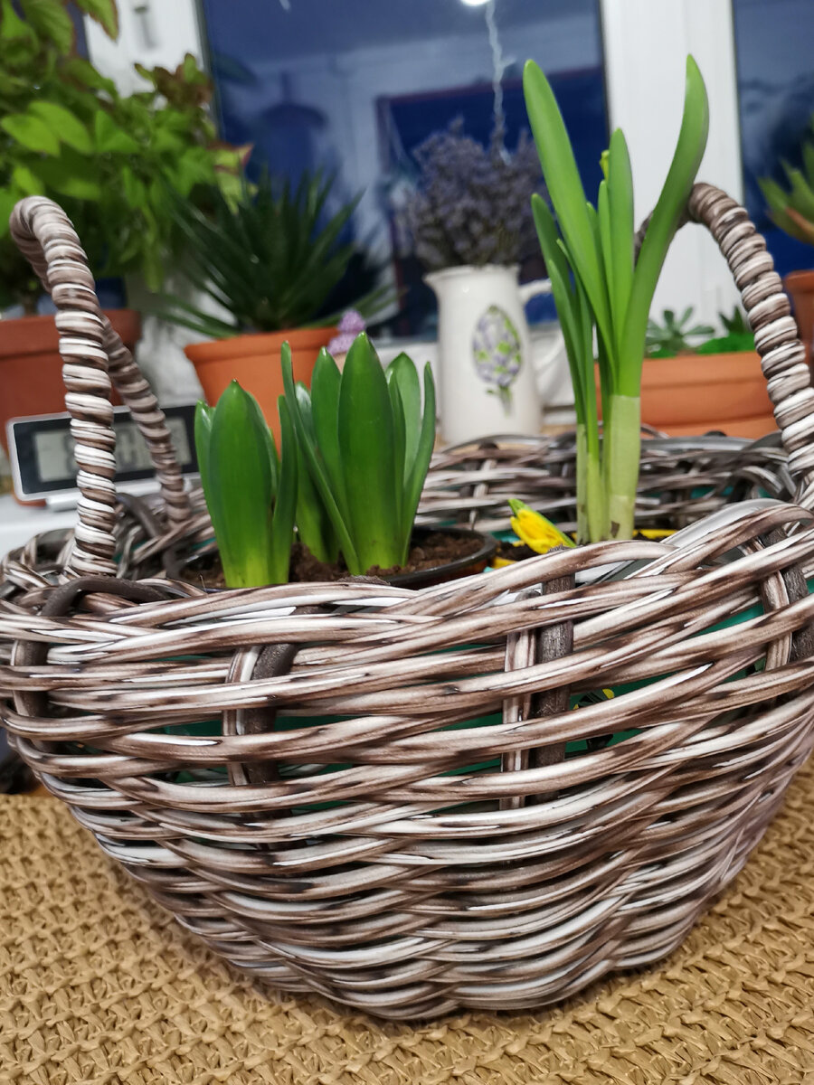 Фото автора.