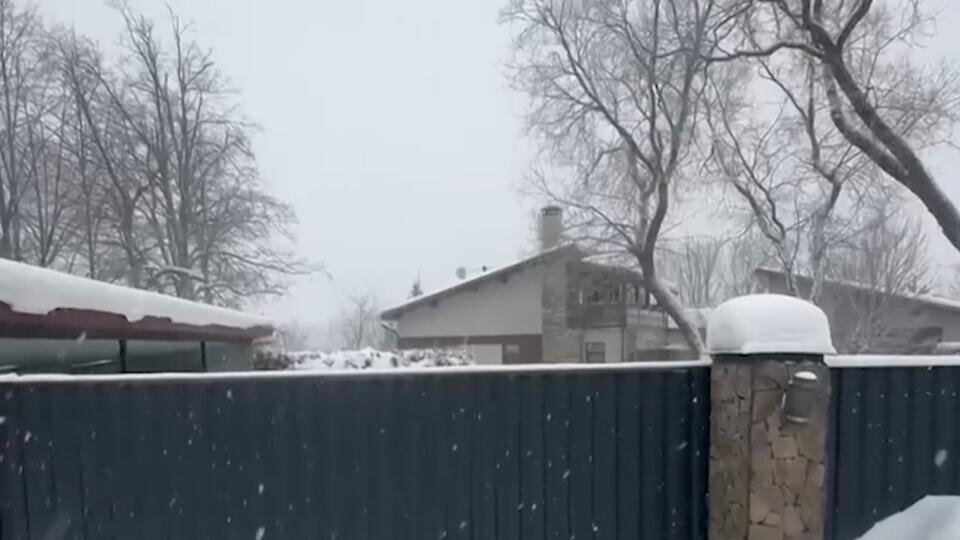 Фото: © Скриншот видео