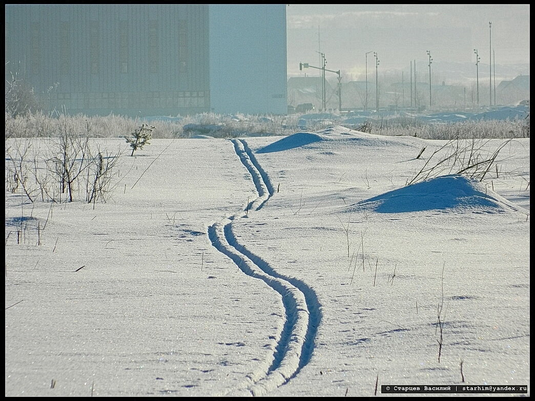 Температура в тени и на солнце. Температура в тени на солнце. Температура поверхности солнца. Структура солнечного пятна. Баланс белого в кельвинах таблица.