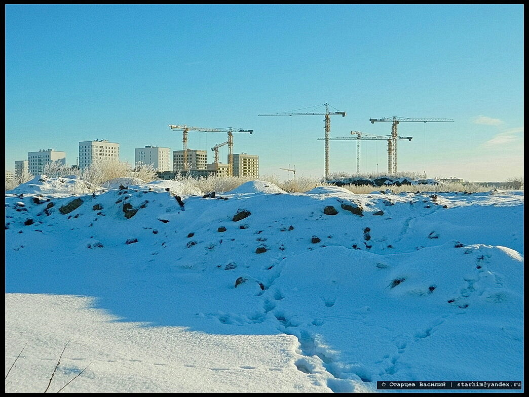красивая зима. февральский прогулки в лесу. февраль. зима солнце. 1 февраля солнце.