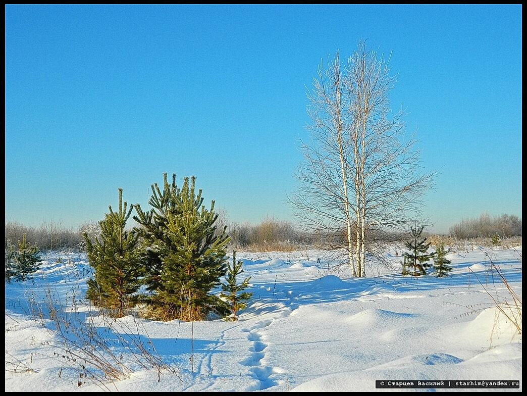 снежинка макросъемка. блестящий снег. снег искрится. снег блестит на солнце. иней блестит на солнце.