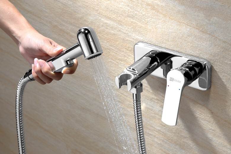 Гигиеническим душем меня не удивить, пример из яндекс.картинок