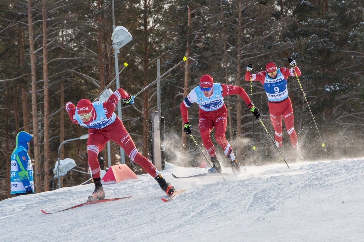 Чемпионат мира по зимним видам спорта 2019