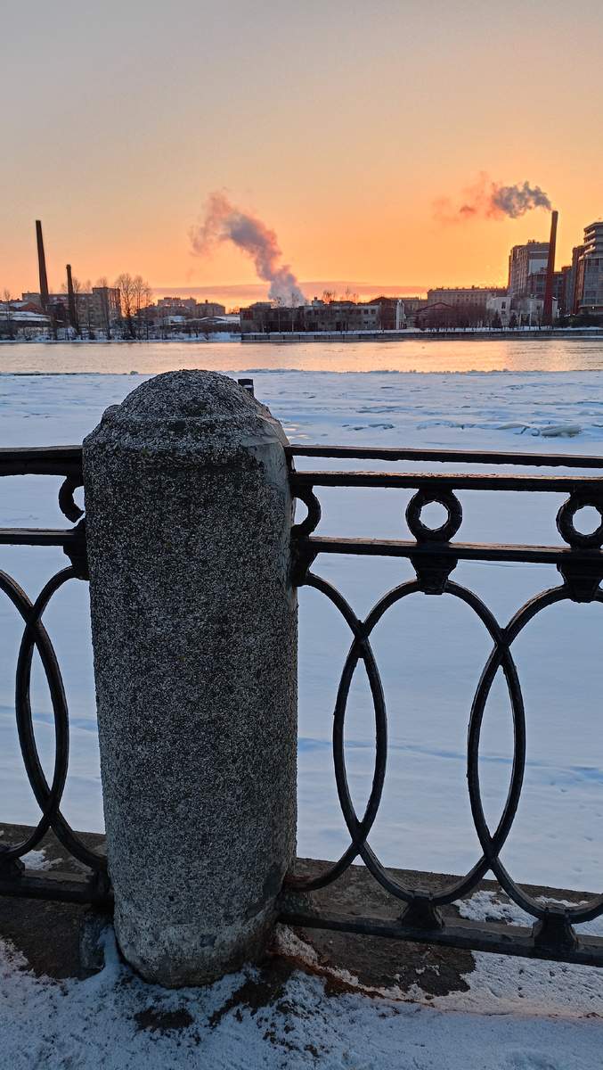 Как я пыталась покормить птиц | Вот такая я путешественница. | Дзен