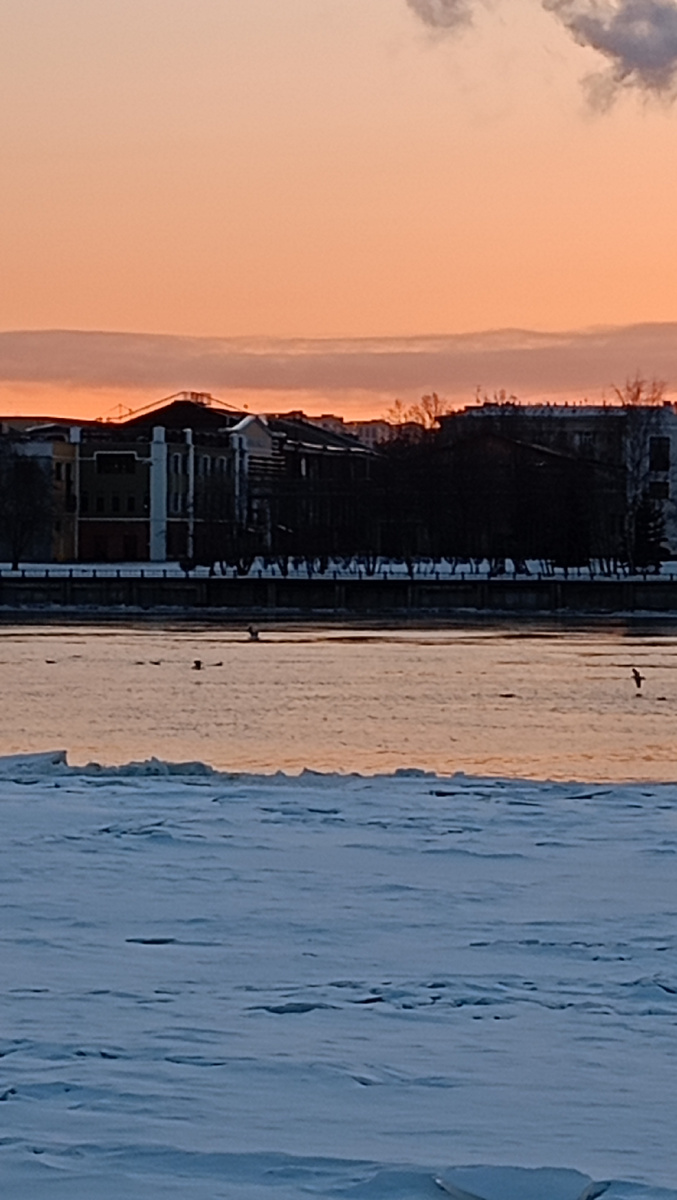 Как я пыталась покормить птиц | Вот такая я путешественница. | Дзен