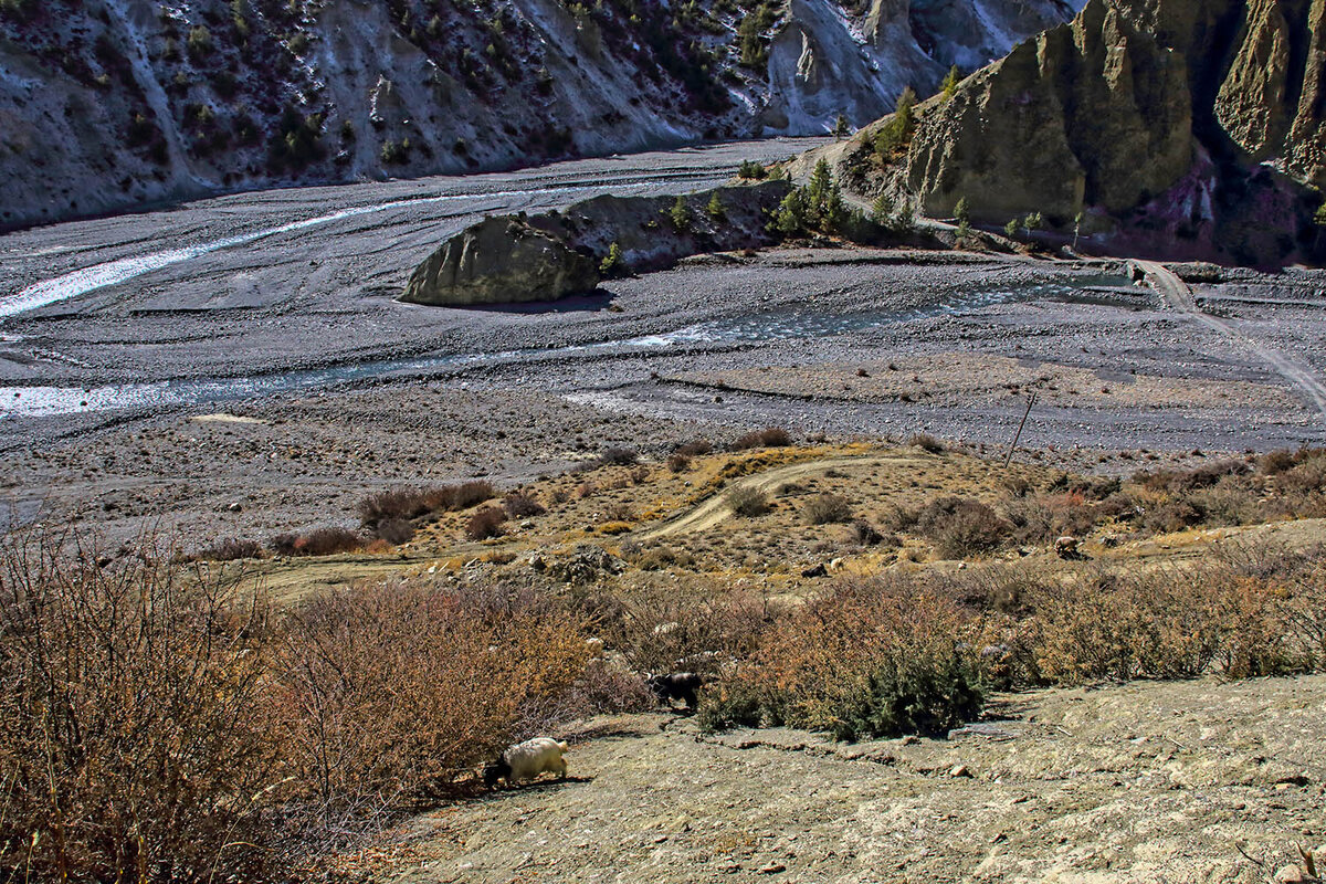 Стадион наскар. Трек с трибунами 8. Трек с трибунами 8. Трасса f1. Трек с трибунами 8.