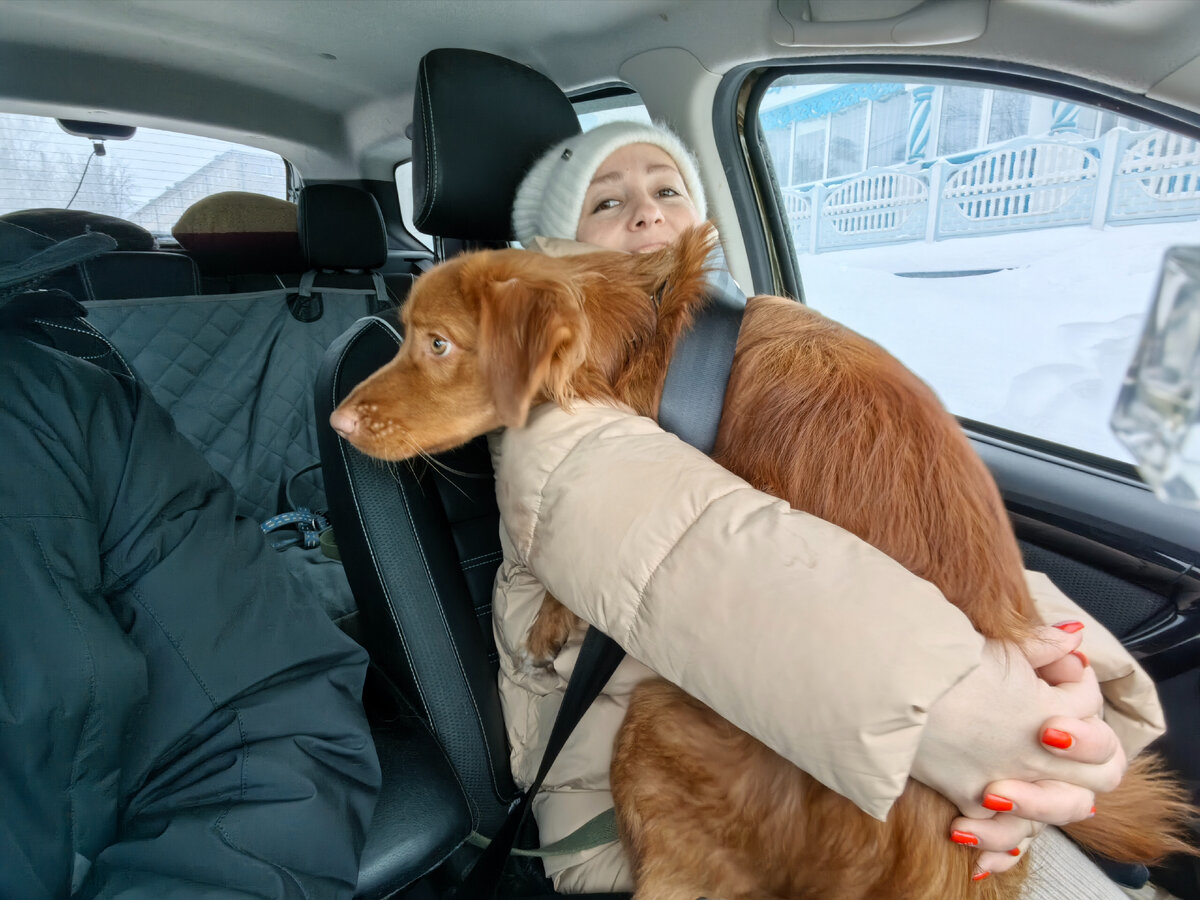 когда Ирвин пытался притвориться маленькой собачкой, которая может ехать на ручках