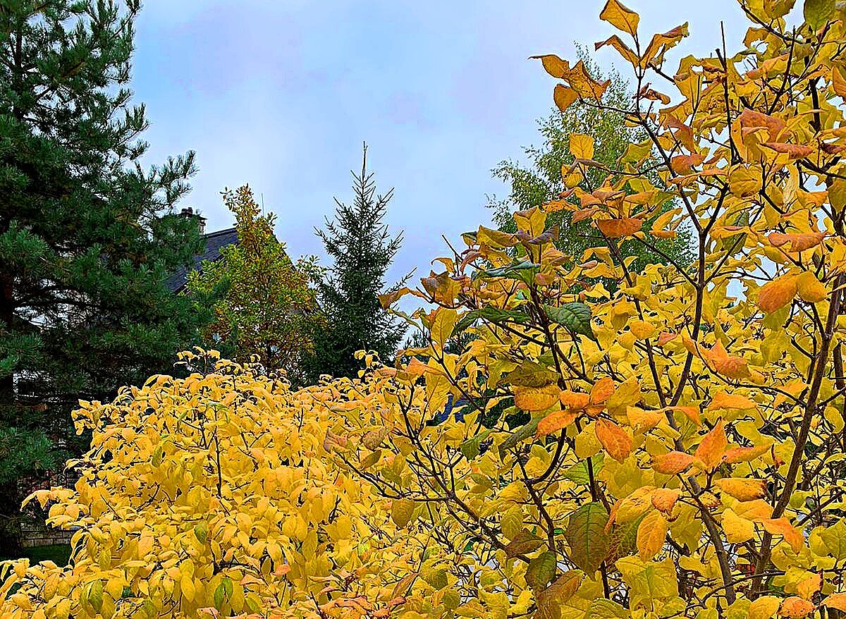 Фото принадлежит автору канала.