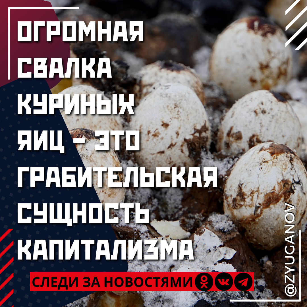  В интернете активно обсуждается видеозапись огромной свалки куриных яиц в Омске. И это при том, что цены на этот продукт за год выросли почти на 60%!