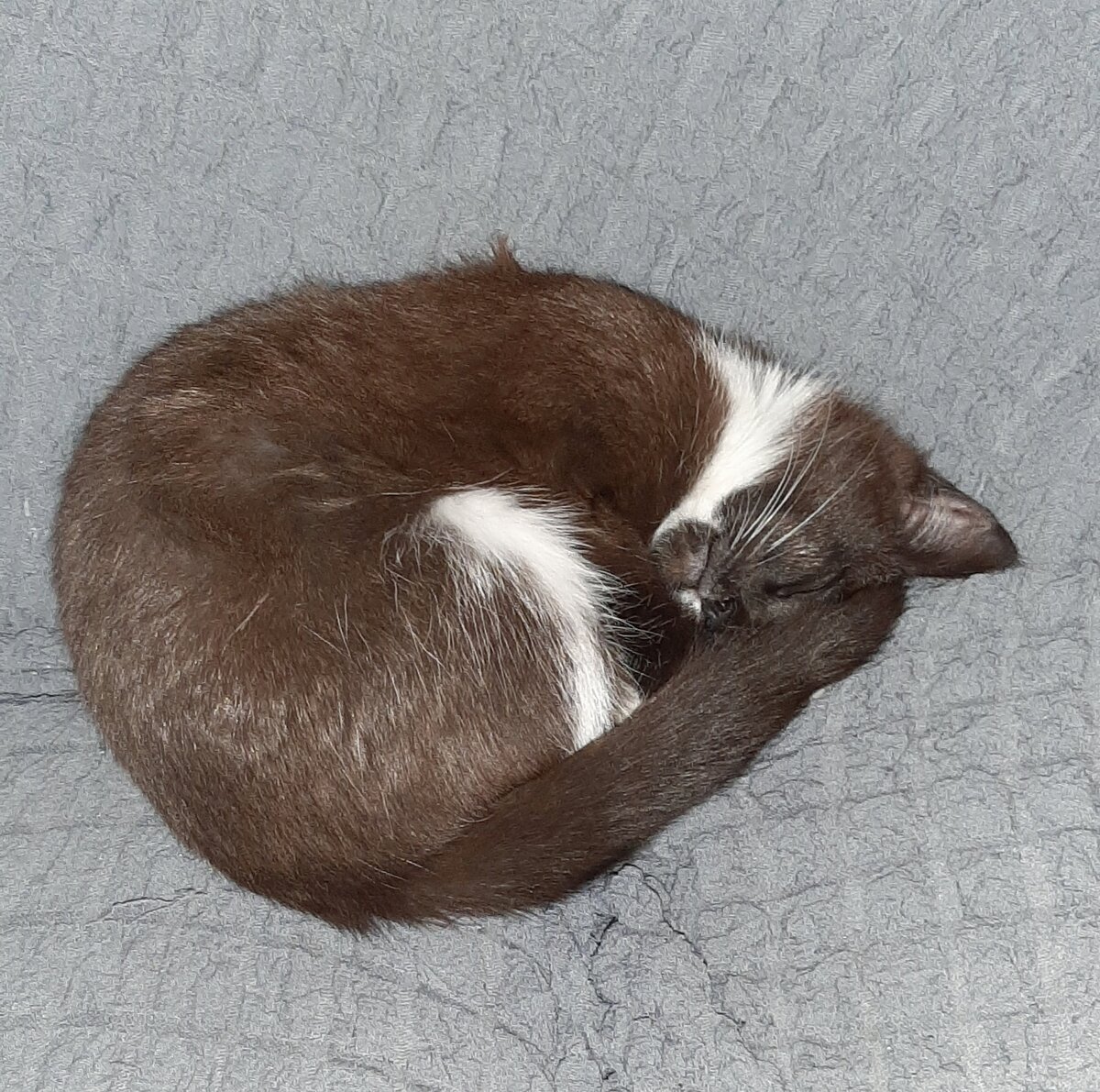 Маруська, большая уже!