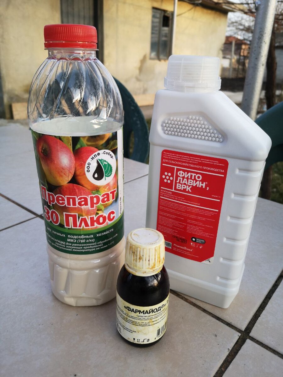 Мои препараты для первой весенней обработки сада