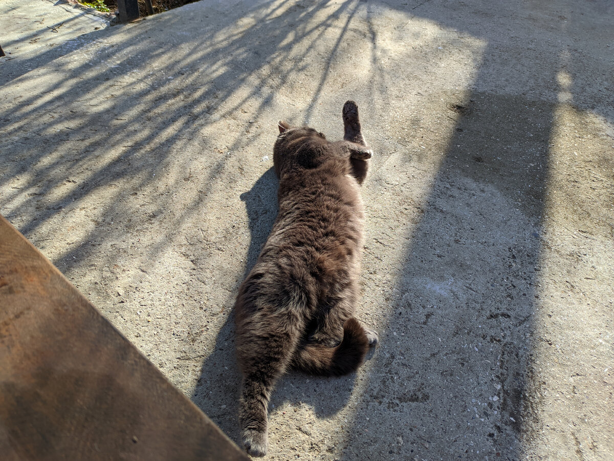 Солнце утром. Где всегда утро. Каждое утро цитаты. Где всегда утро. Пусть день и вечер будут добрыми.