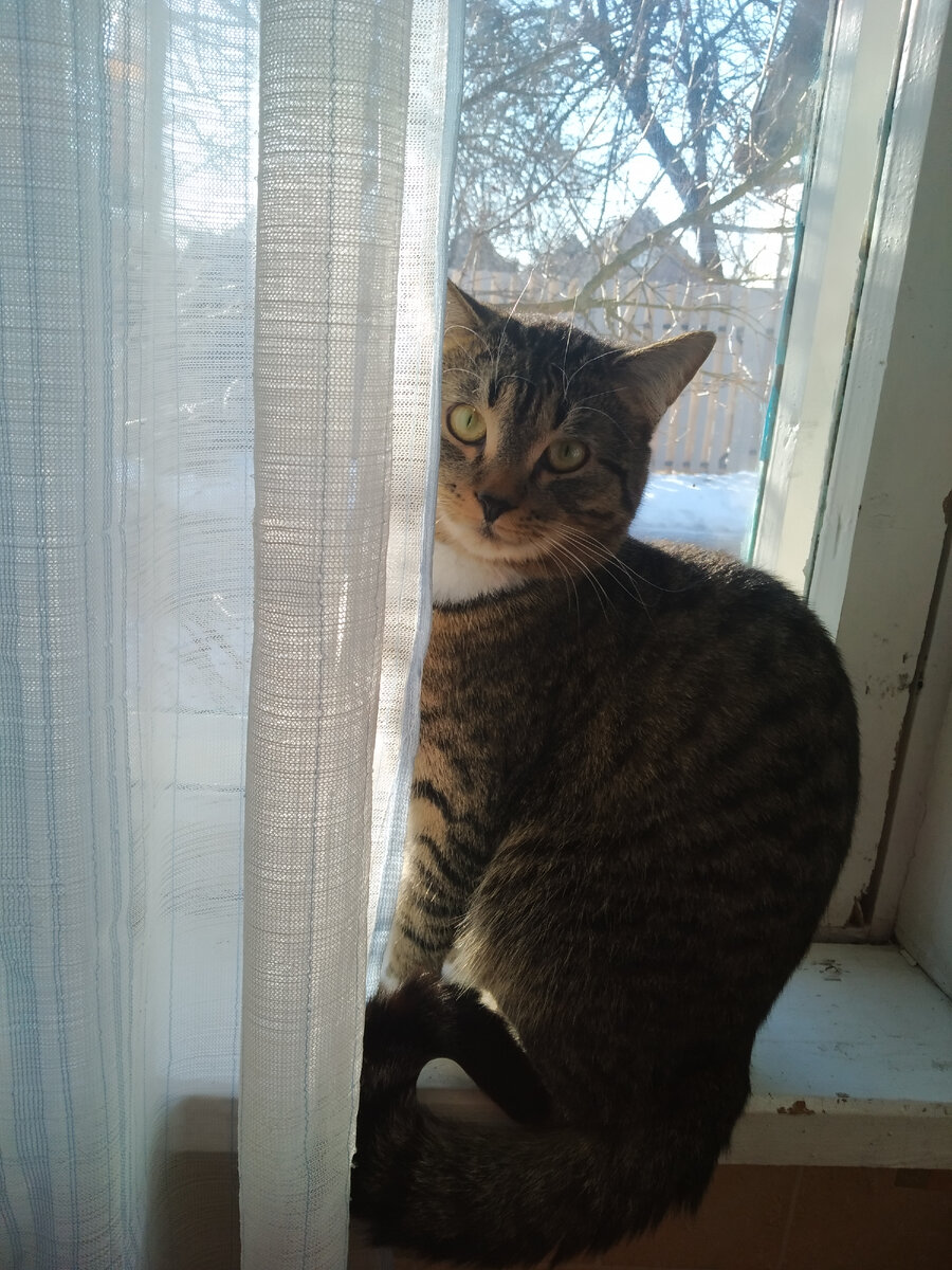 пусть всегда будет солцн. солнечный круг небо вокруг. 20 будет солнце. 20 будет солнце. пусть всегда будет солнце рисунок.