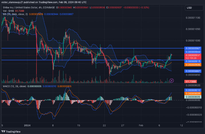 4-часовой график SHIB/USD (Источник: TradingView)