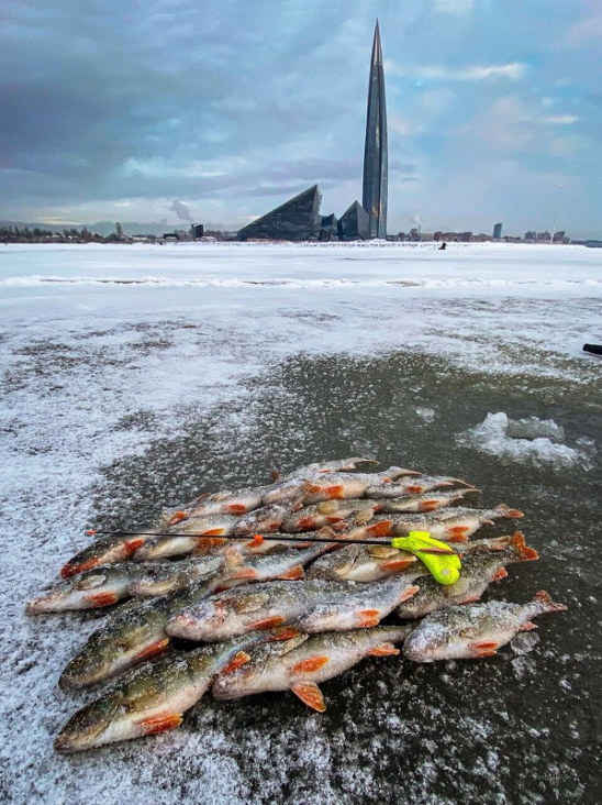 Fishing спб. Fishing спб. рыбалка спб. рыбалка в ленинградской. магазин полигон на дыбенко.