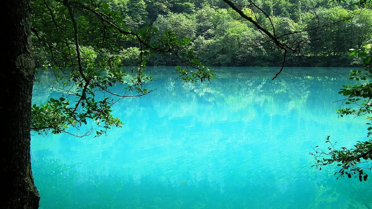 Выглядит обворожительно - поплавать хочется