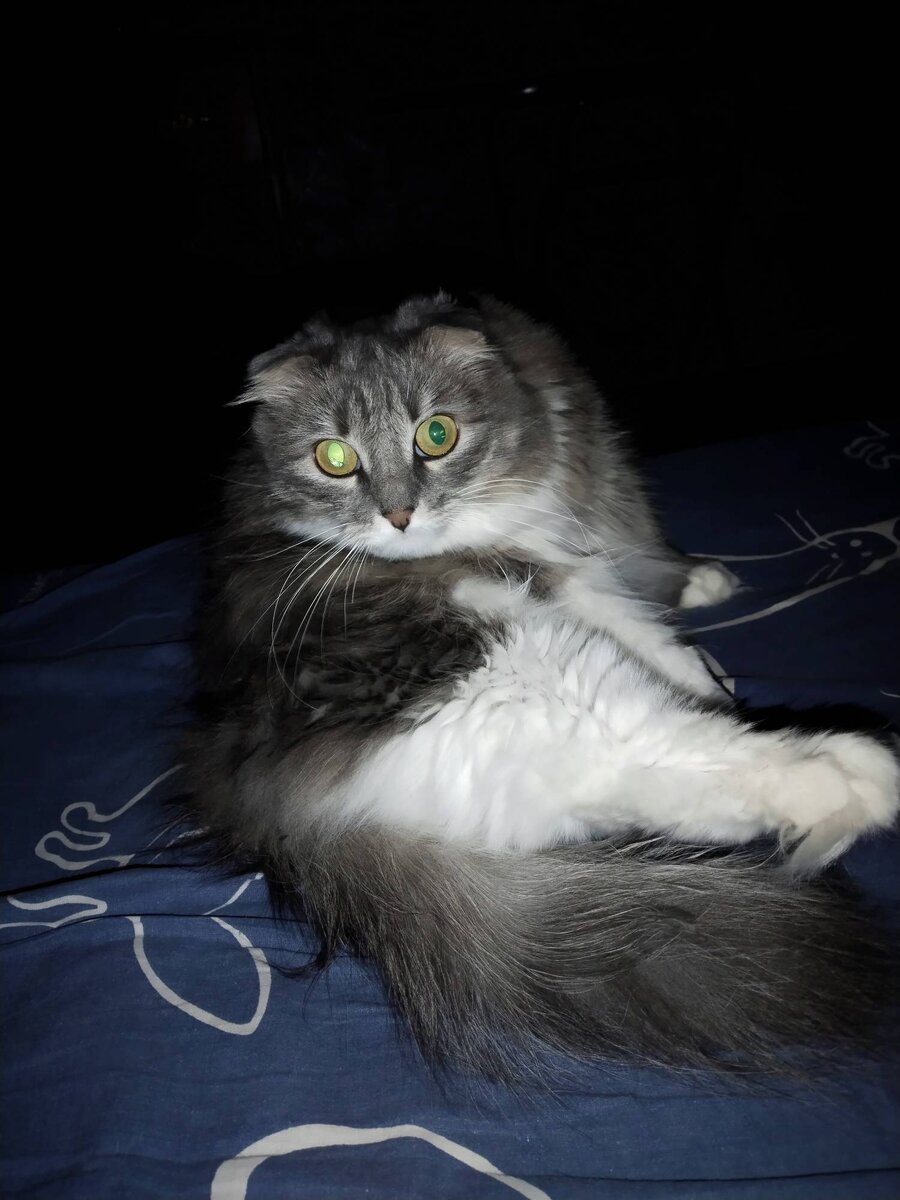 Мама, папа, мы всех победим! Буся устрашающая!