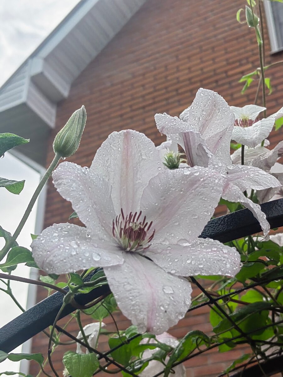 "Иоанн- Павел 2" Фотоархив.